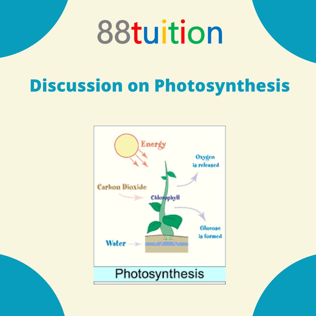 Discussion on Photosynthesis